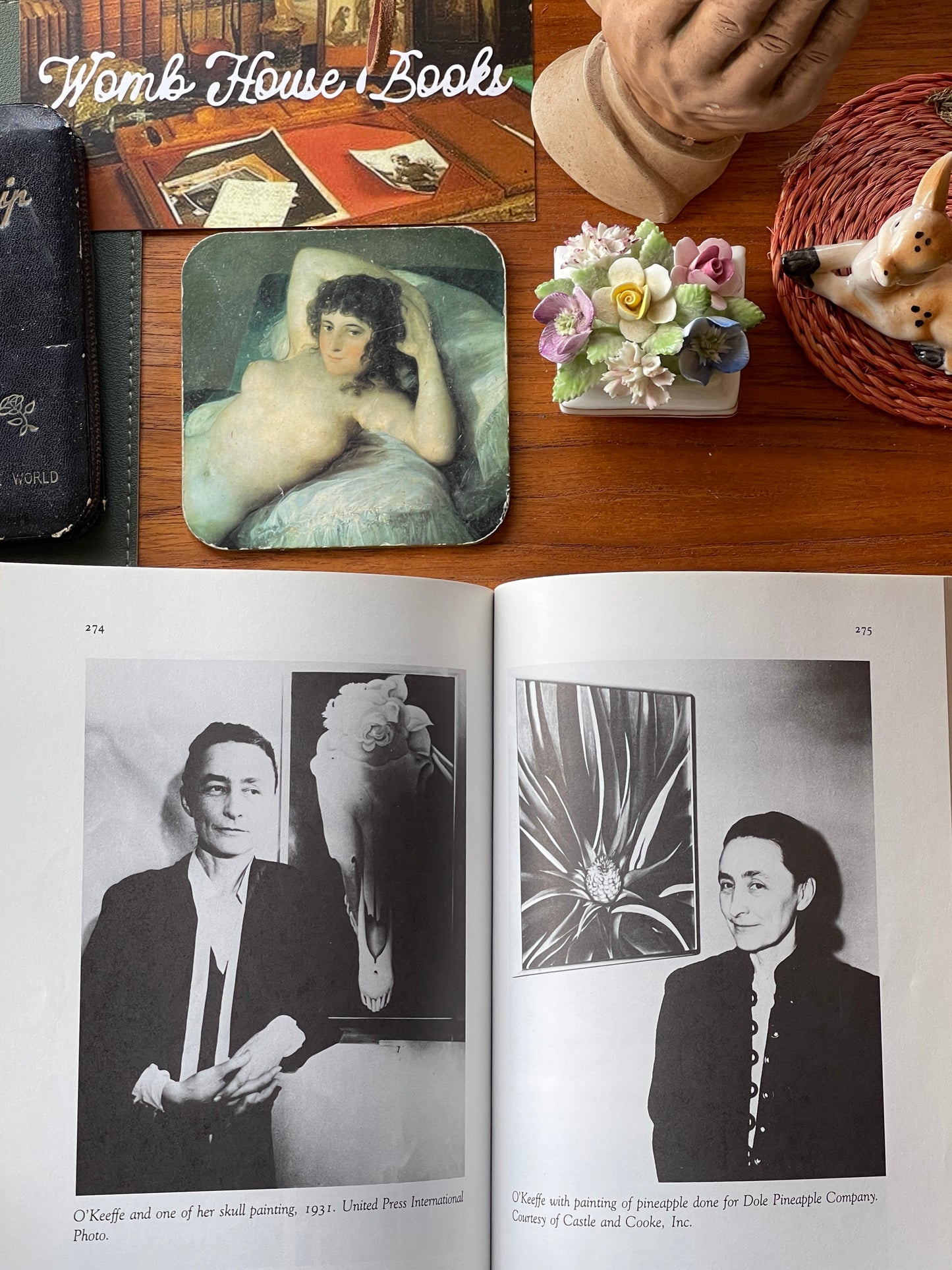 Portrait of an Artist: Georgia O'Keeffe by Laurie Lisle