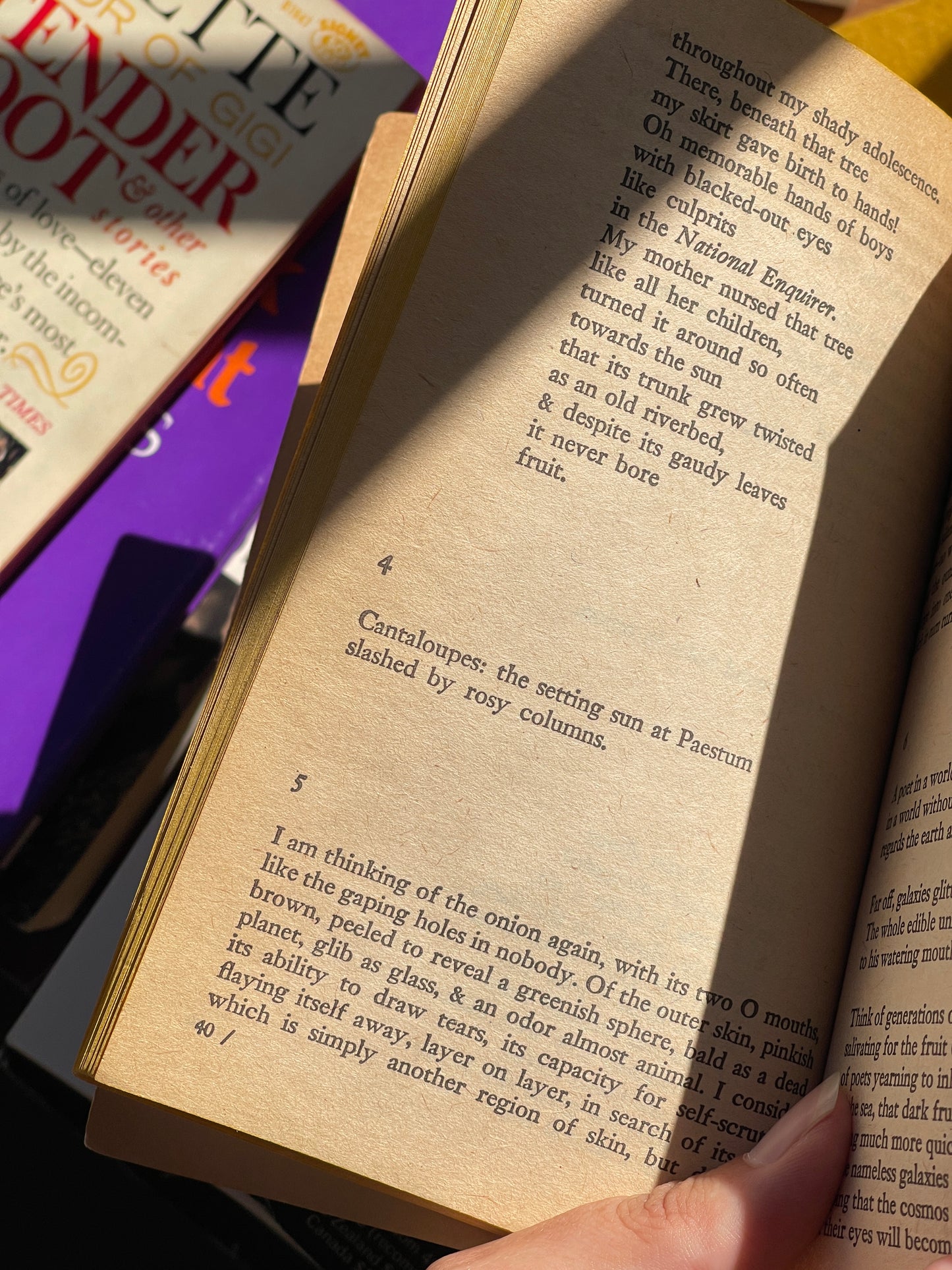 Here Comes and Other Poems by Erica Jong