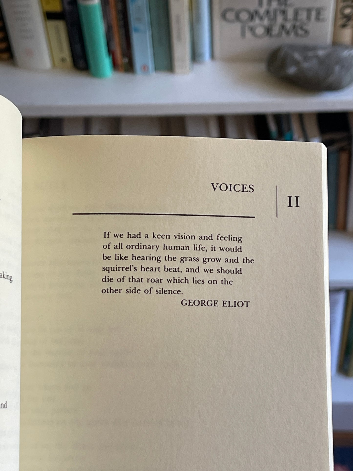 In the Fourth World by Sandra M. Gilbert