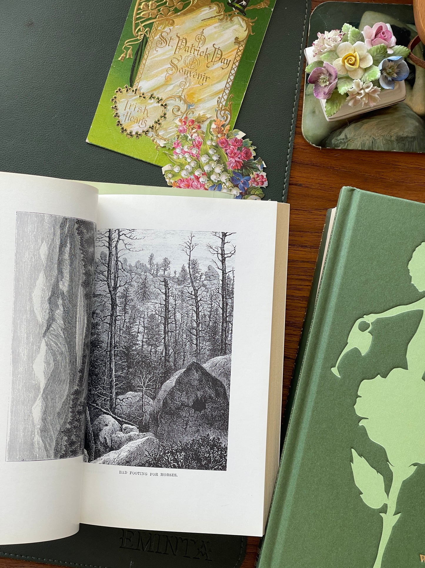 A Lady's Life in the Rocky Mountains by Isabella Bird