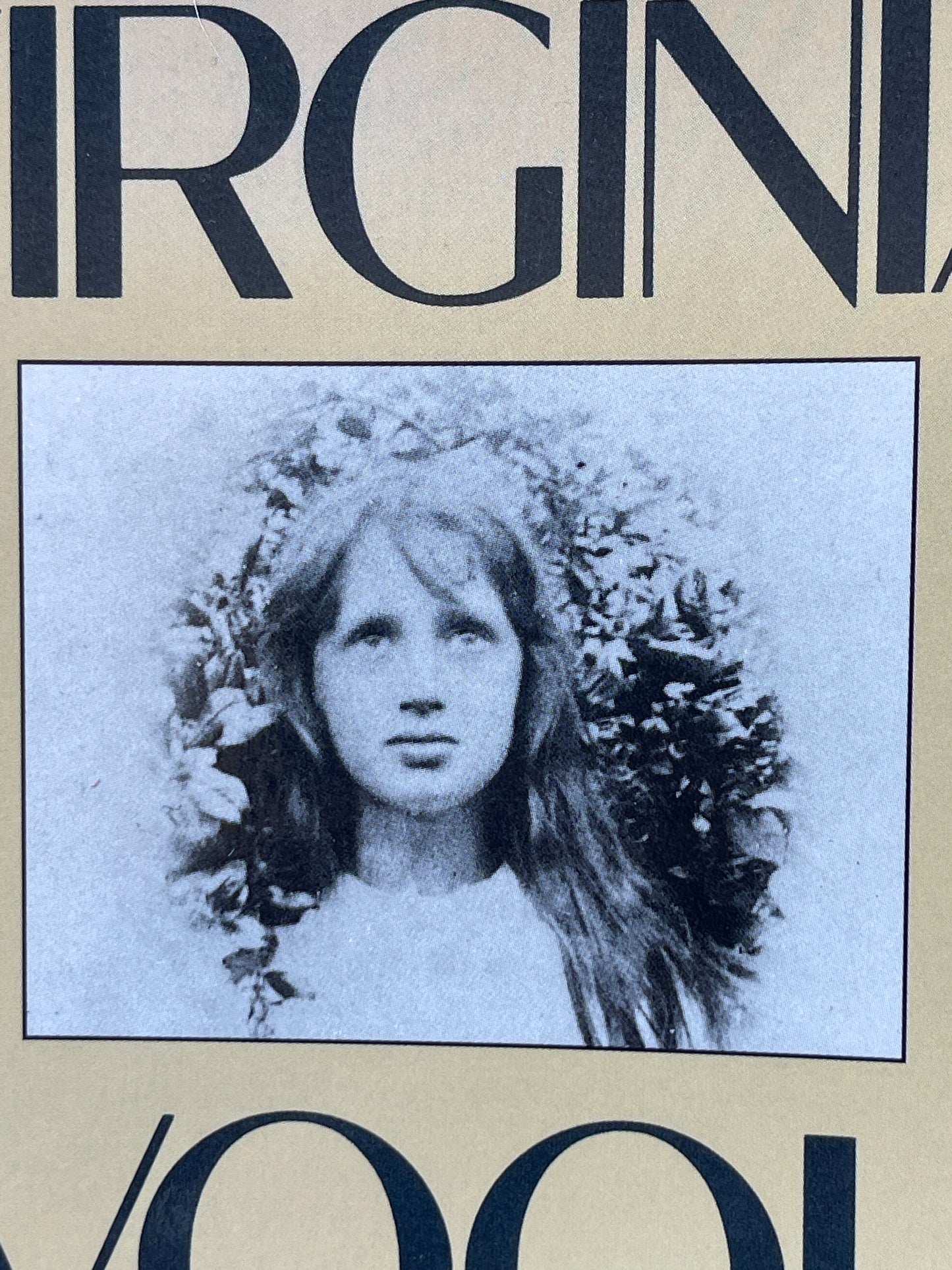 Virginia Woolf: The Impact of Childhood Sexual Abuse on Her Life and Work by Louise DeSalvo