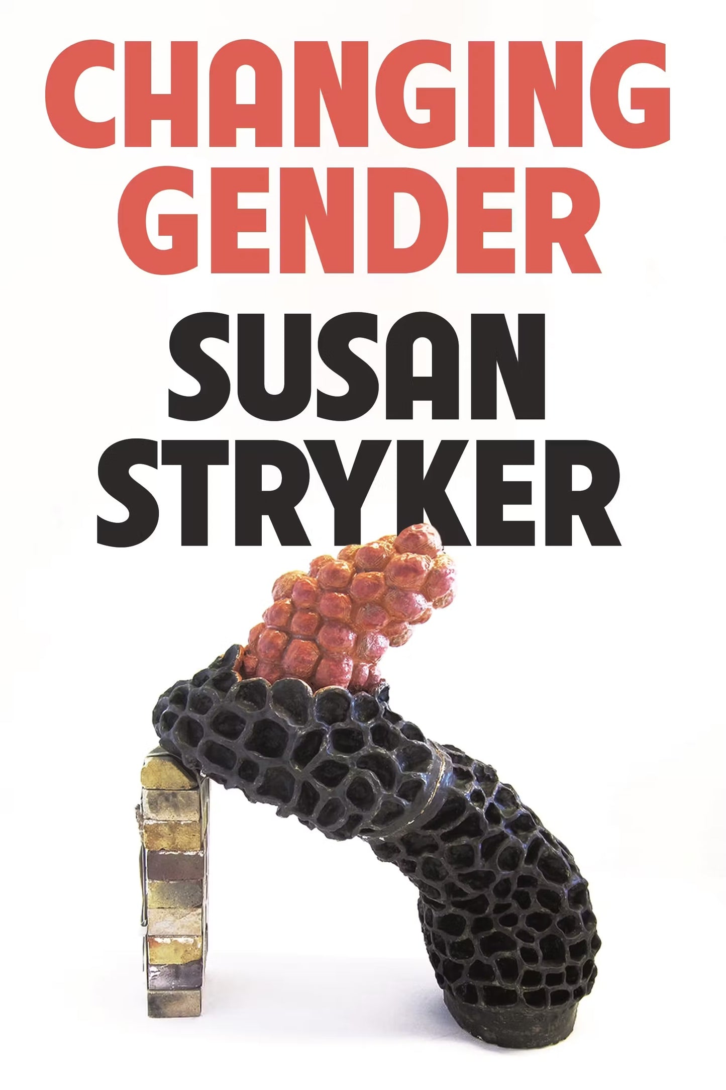 Changing Gender by Susan Stryker