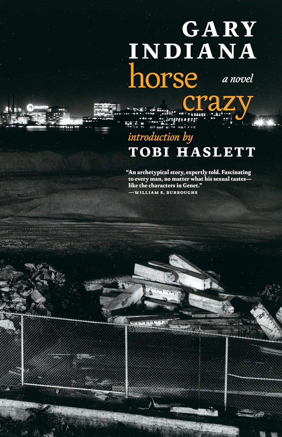 Horse Crazy by Gary Indiana
