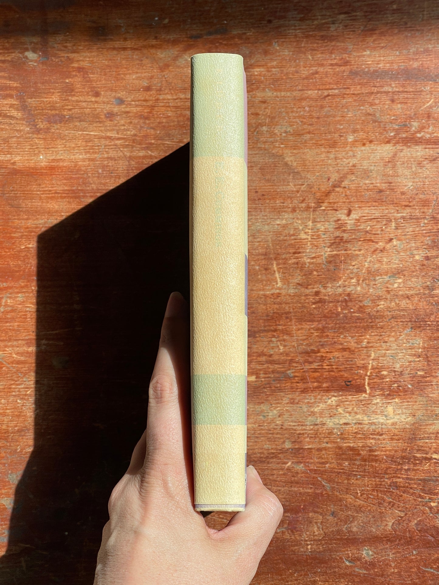 E.E. Cummings: An Introduction to the Poetry by Rushworth M. Kidder