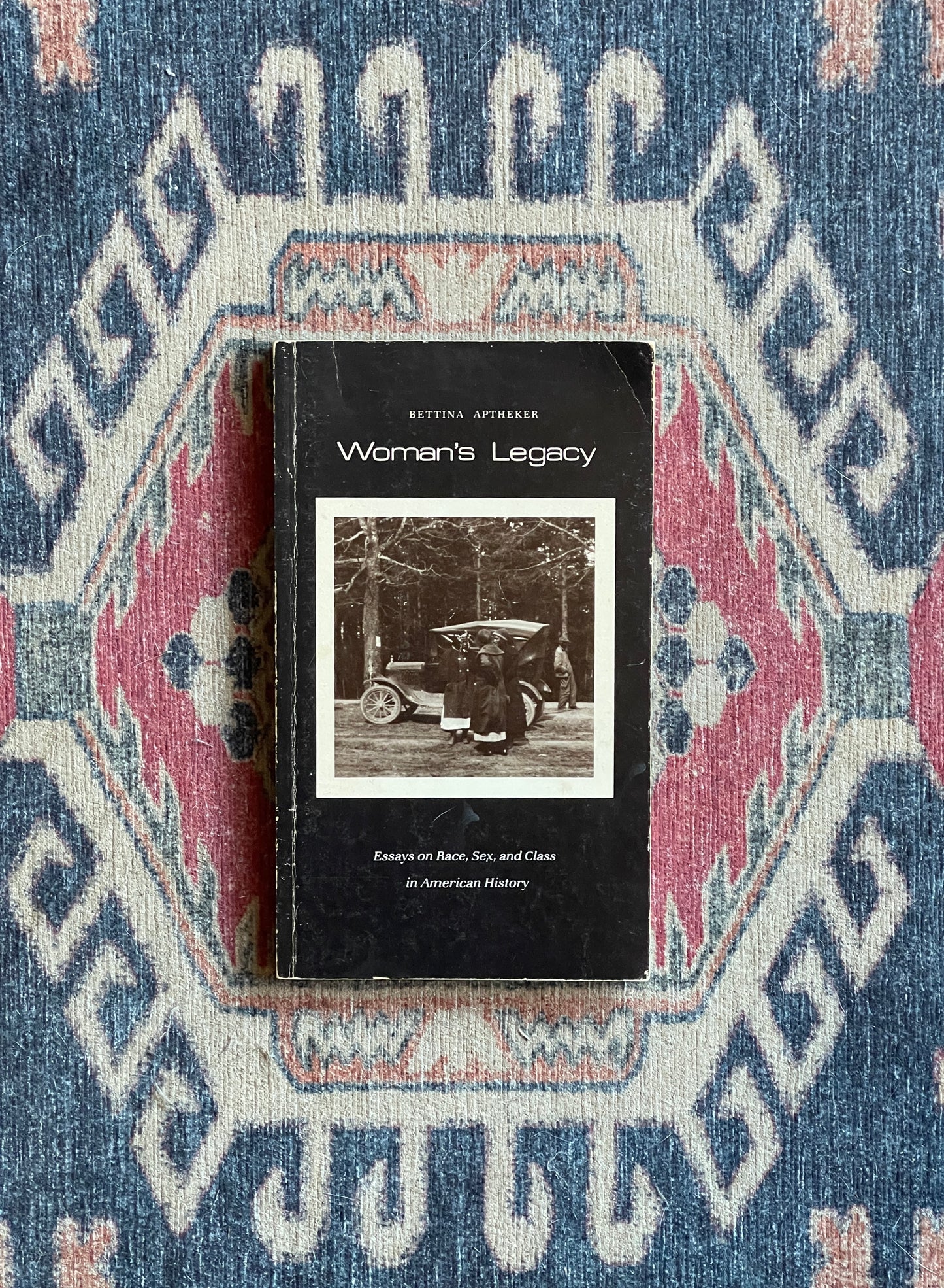 Women's Legacy: Essays on Race, Sex, and Class in American History by Bettina Aptheker