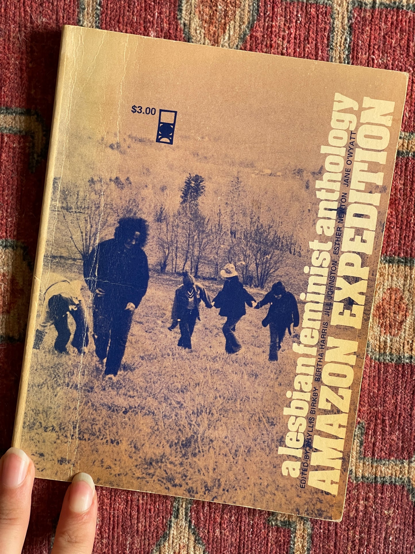 Amazon Expedition: A Lesbian Feminist Anthology