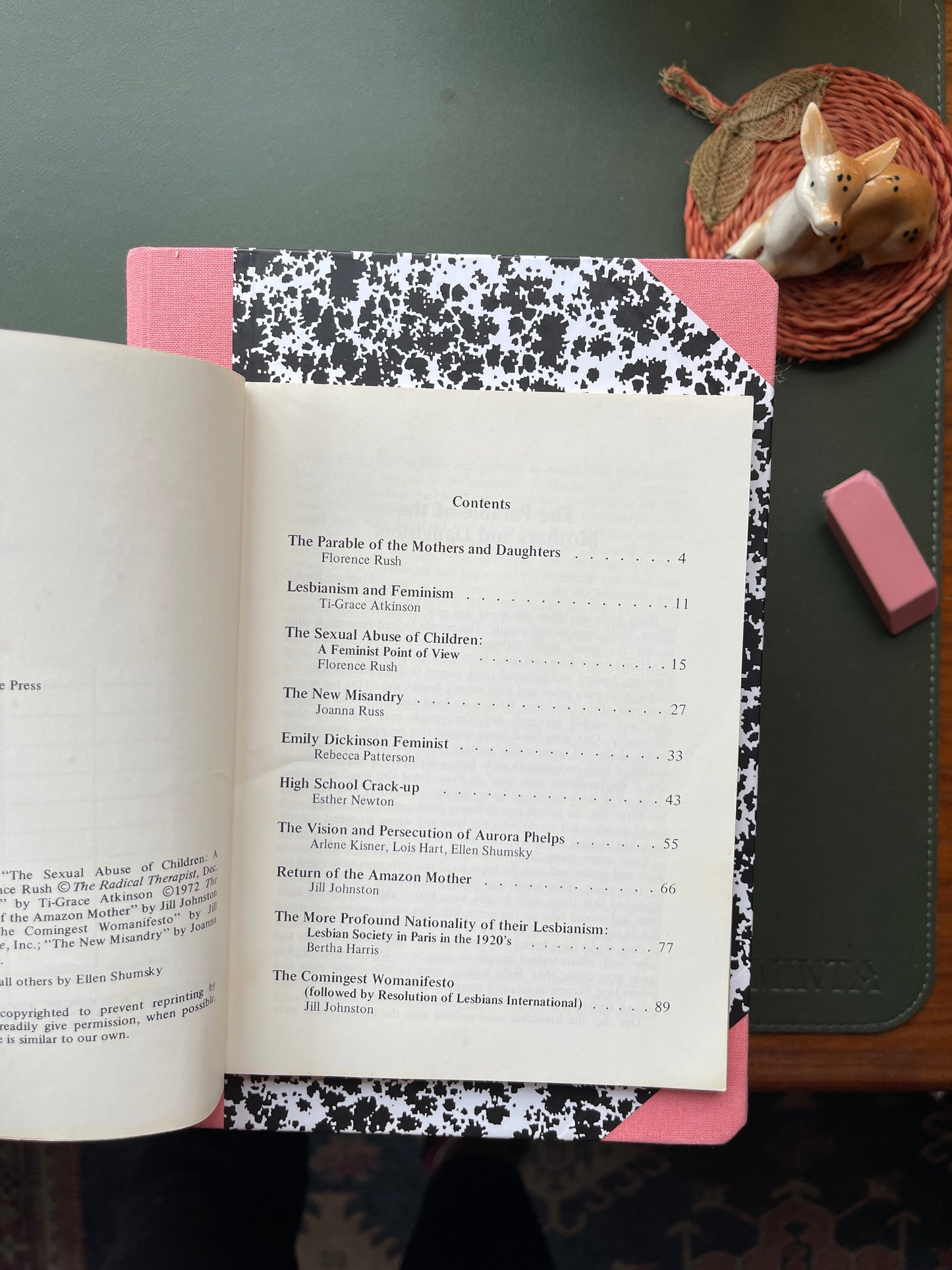 Amazon Expedition: A Lesbian Feminist Anthology