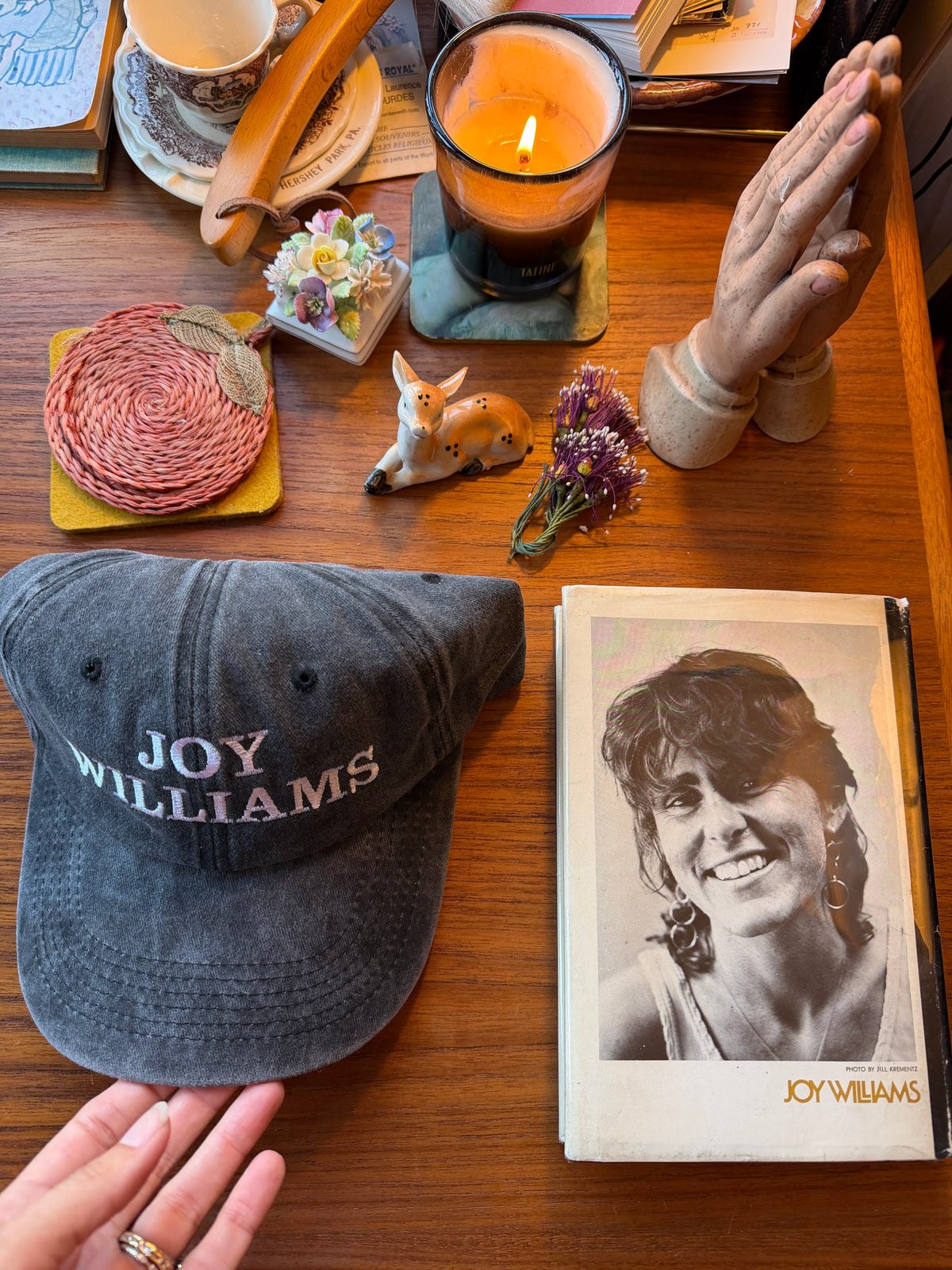 The Joy Williams Womb House Books Hat