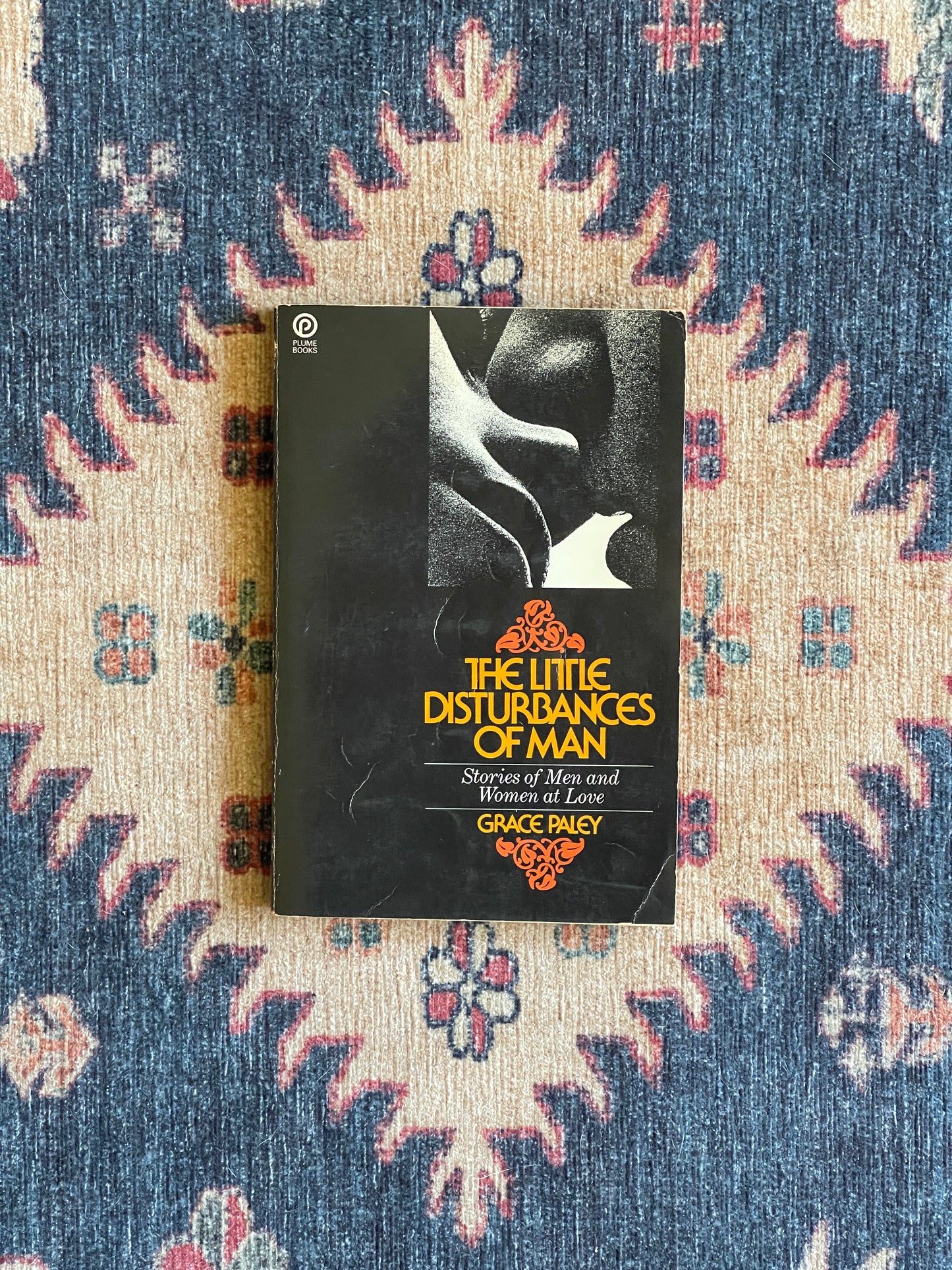 The Little Disturbances of Man by Grace Paley