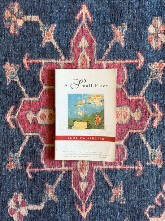 A Small Place by Jamaica Kincaid