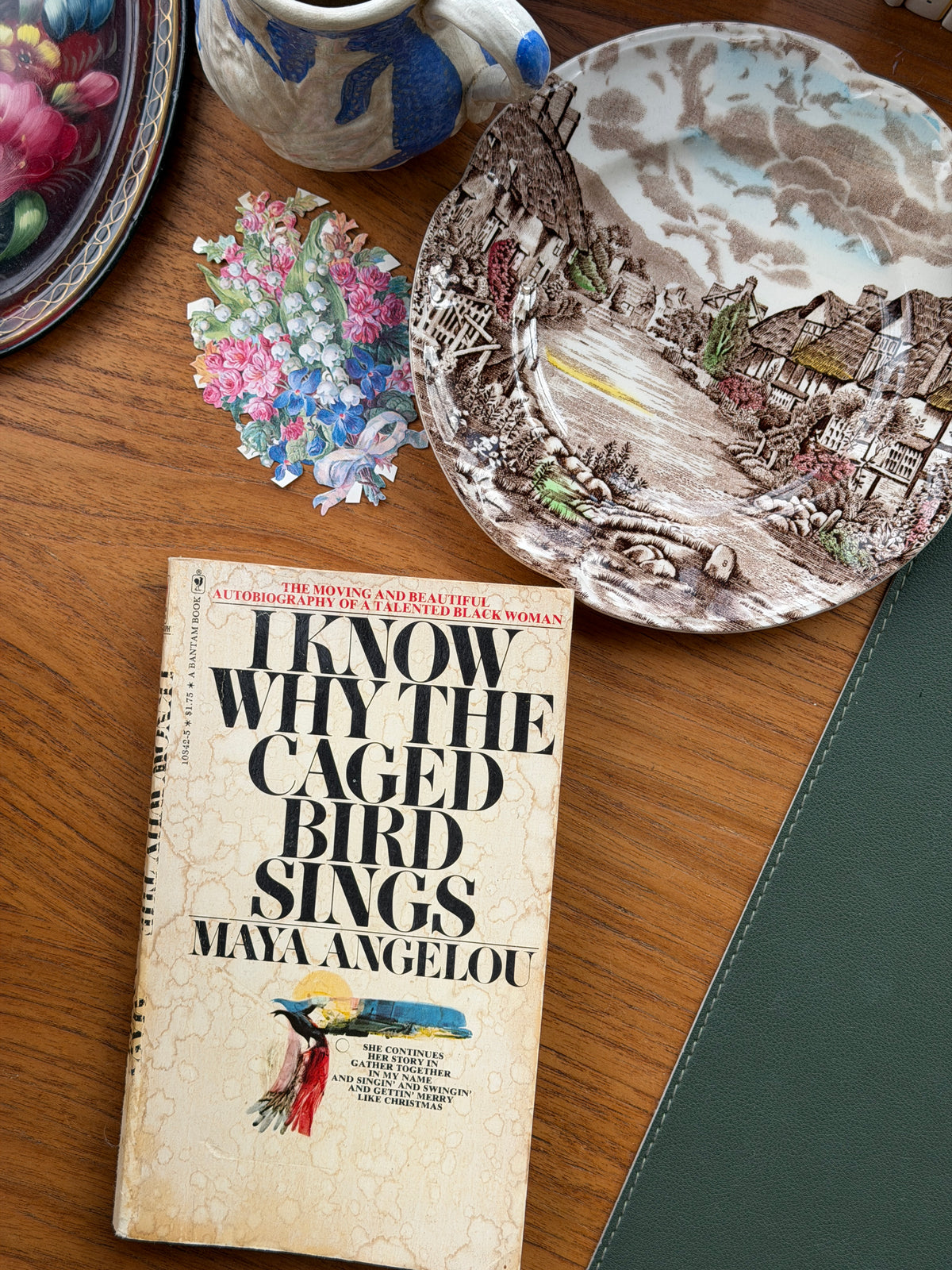 I Know Why the Caged Bird Sings by Maya Angelou