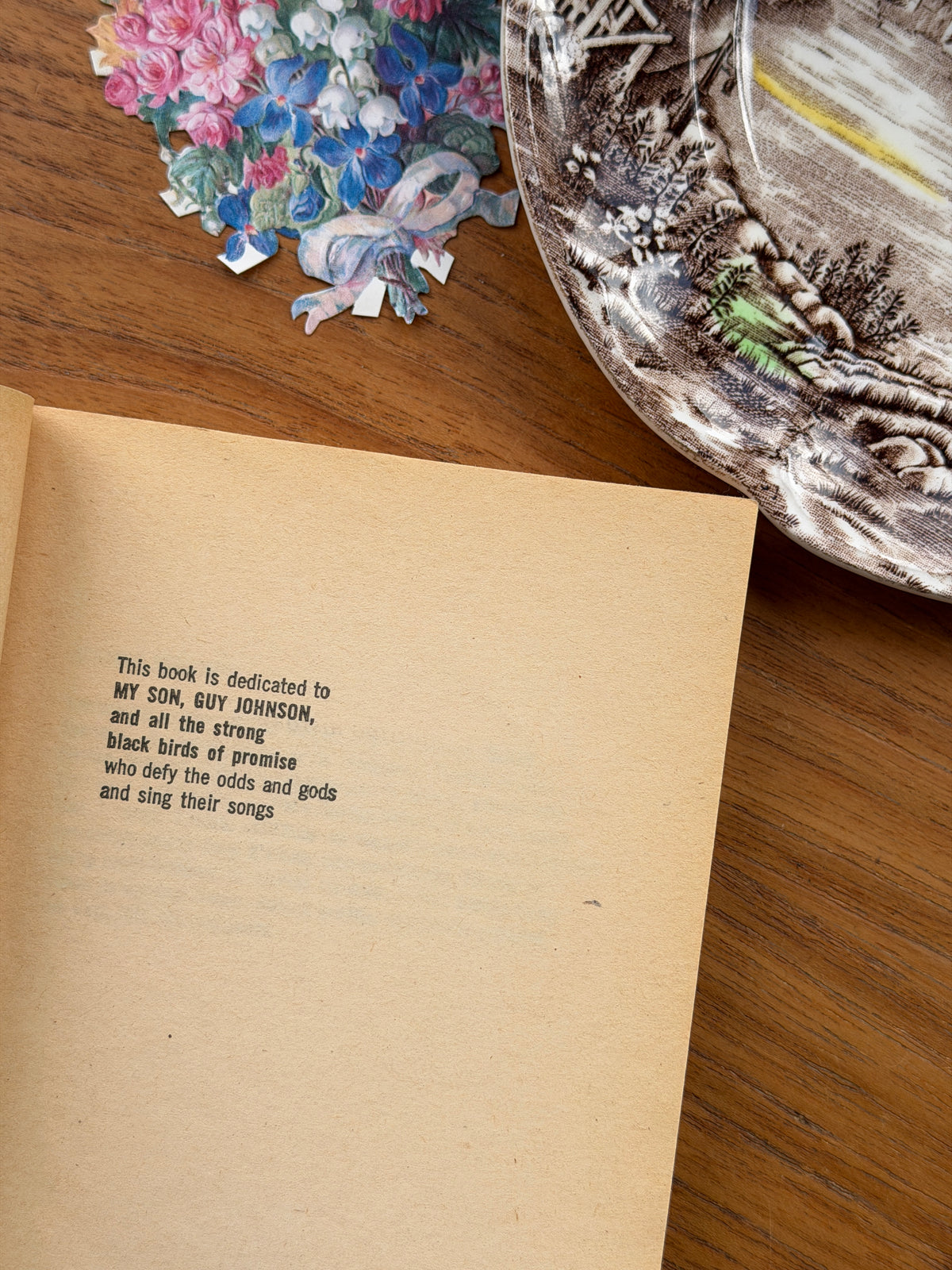 I Know Why the Caged Bird Sings by Maya Angelou