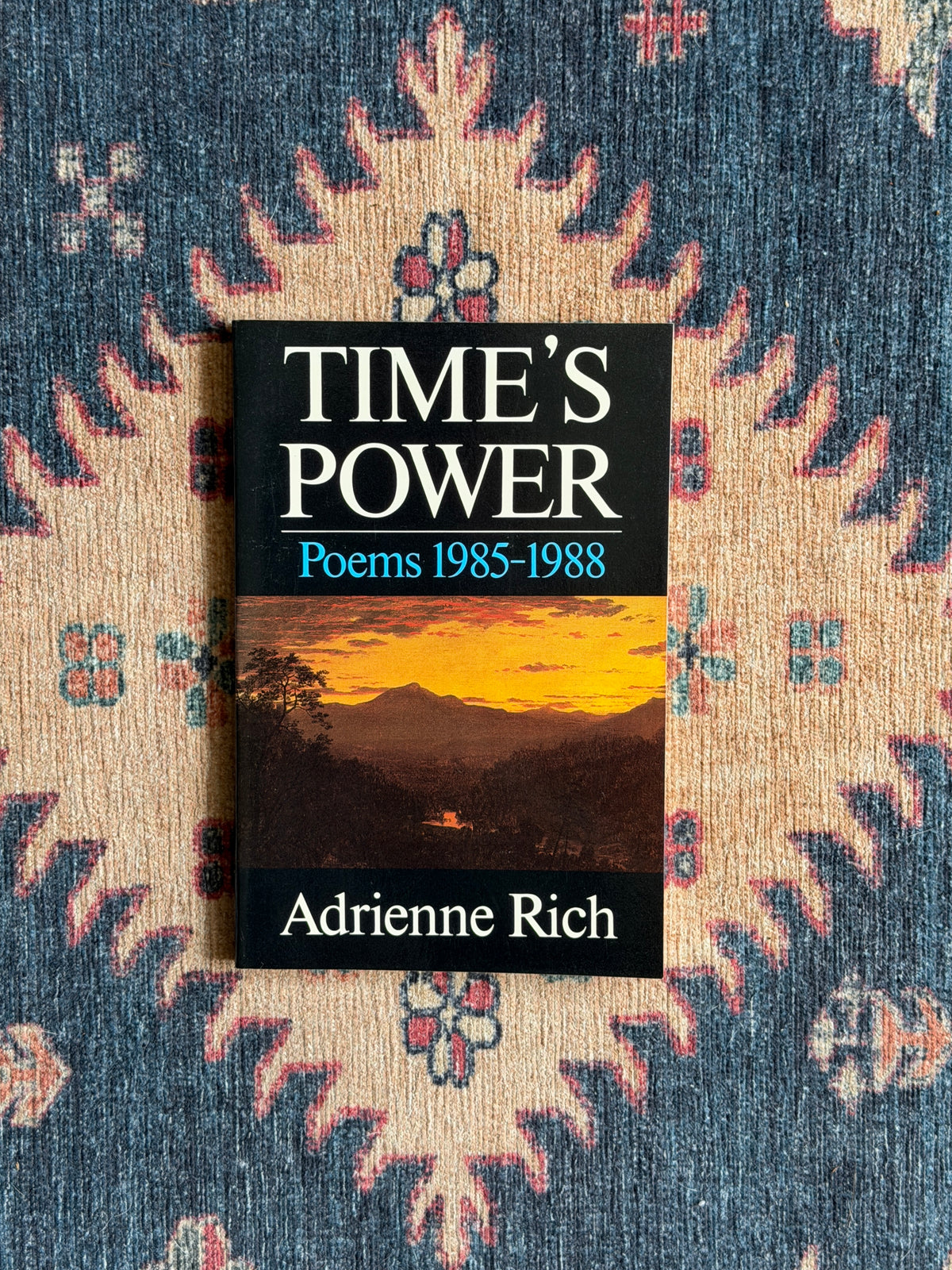 Time's Power: Poems 1985-1988 by Adrienne Rich