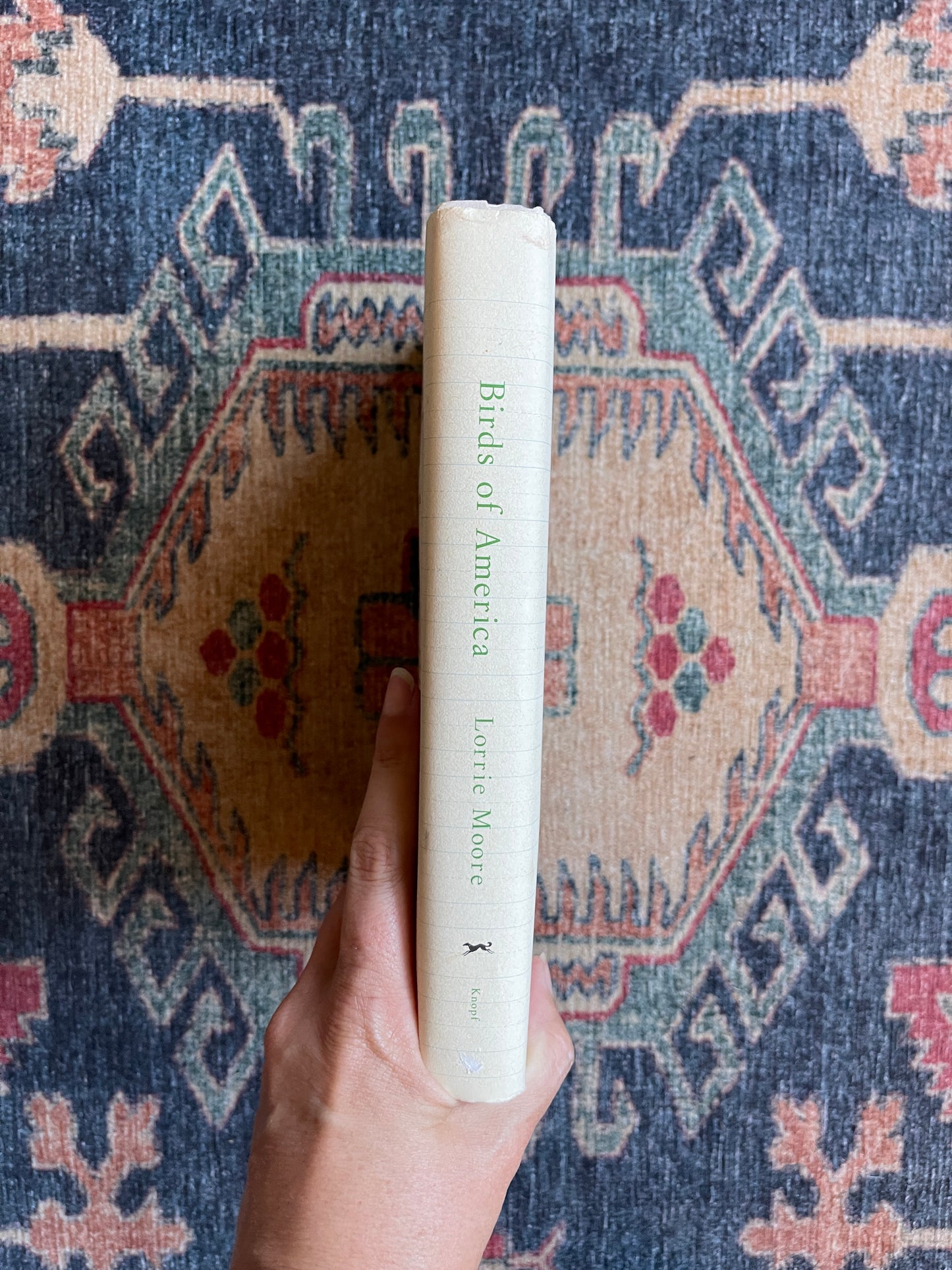 Birds of America by Lorrie Moore - First Edition