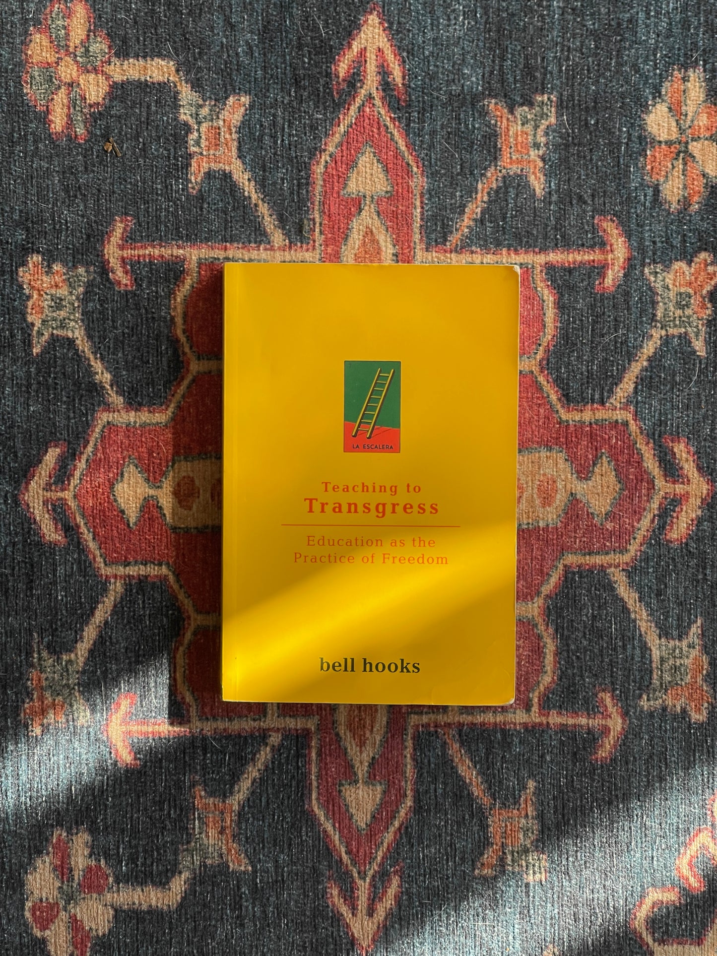 Teaching to Transgress by bell hooks
