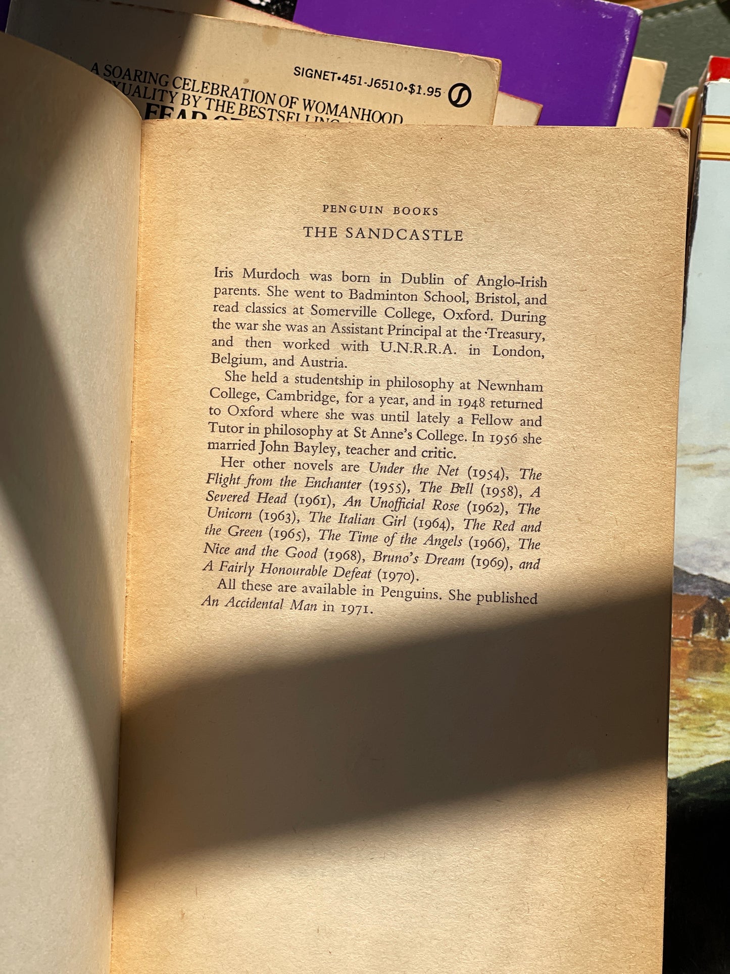 The Sandcastle by Iris Murdoch
