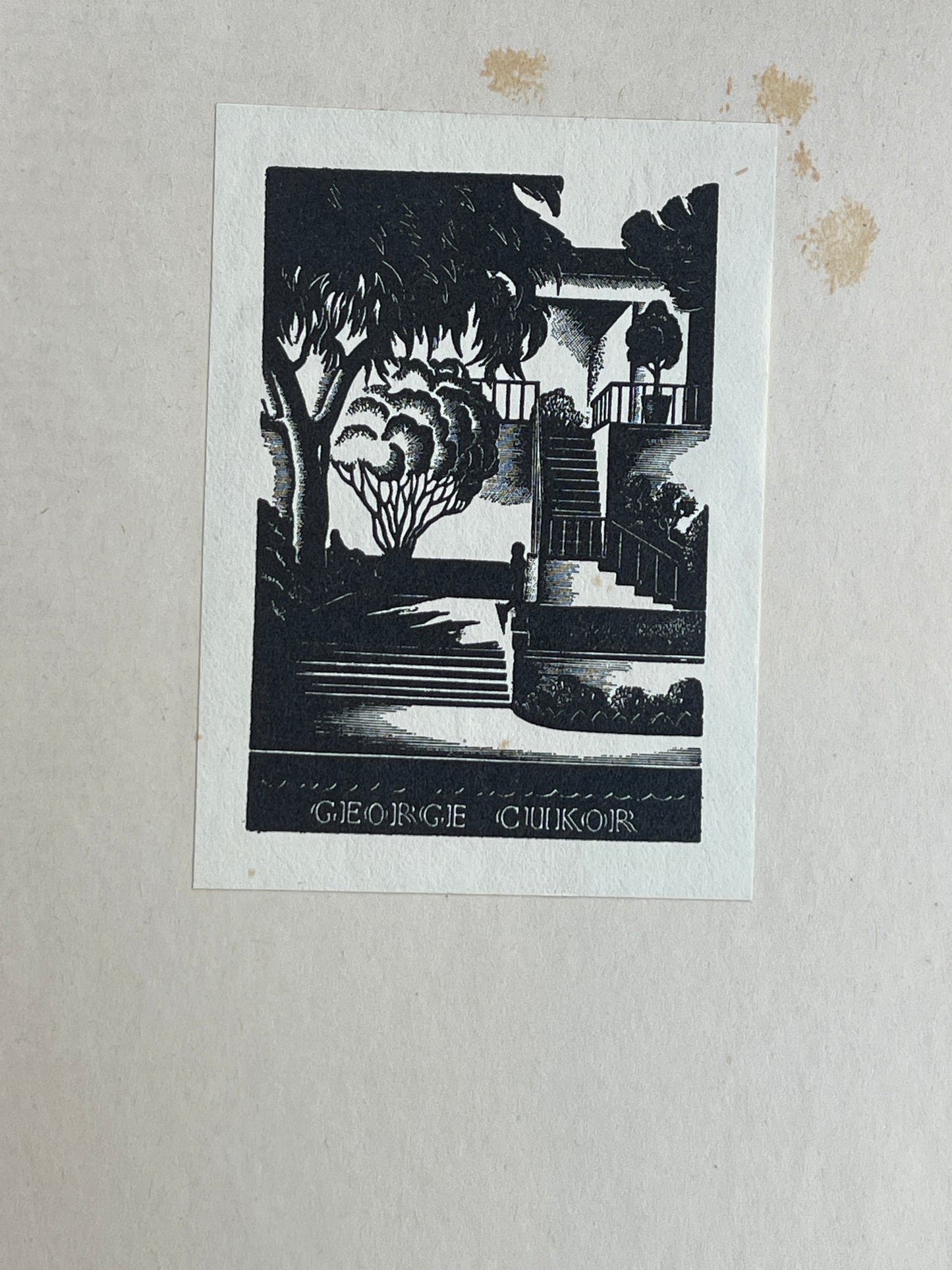 Grand Canyon by Vita Sackville West - First Edition from George Cukor