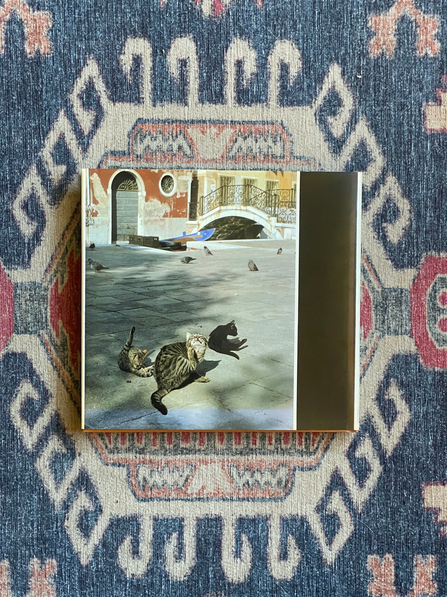 A Venetian Bestiary by Jan Morris - First Edition