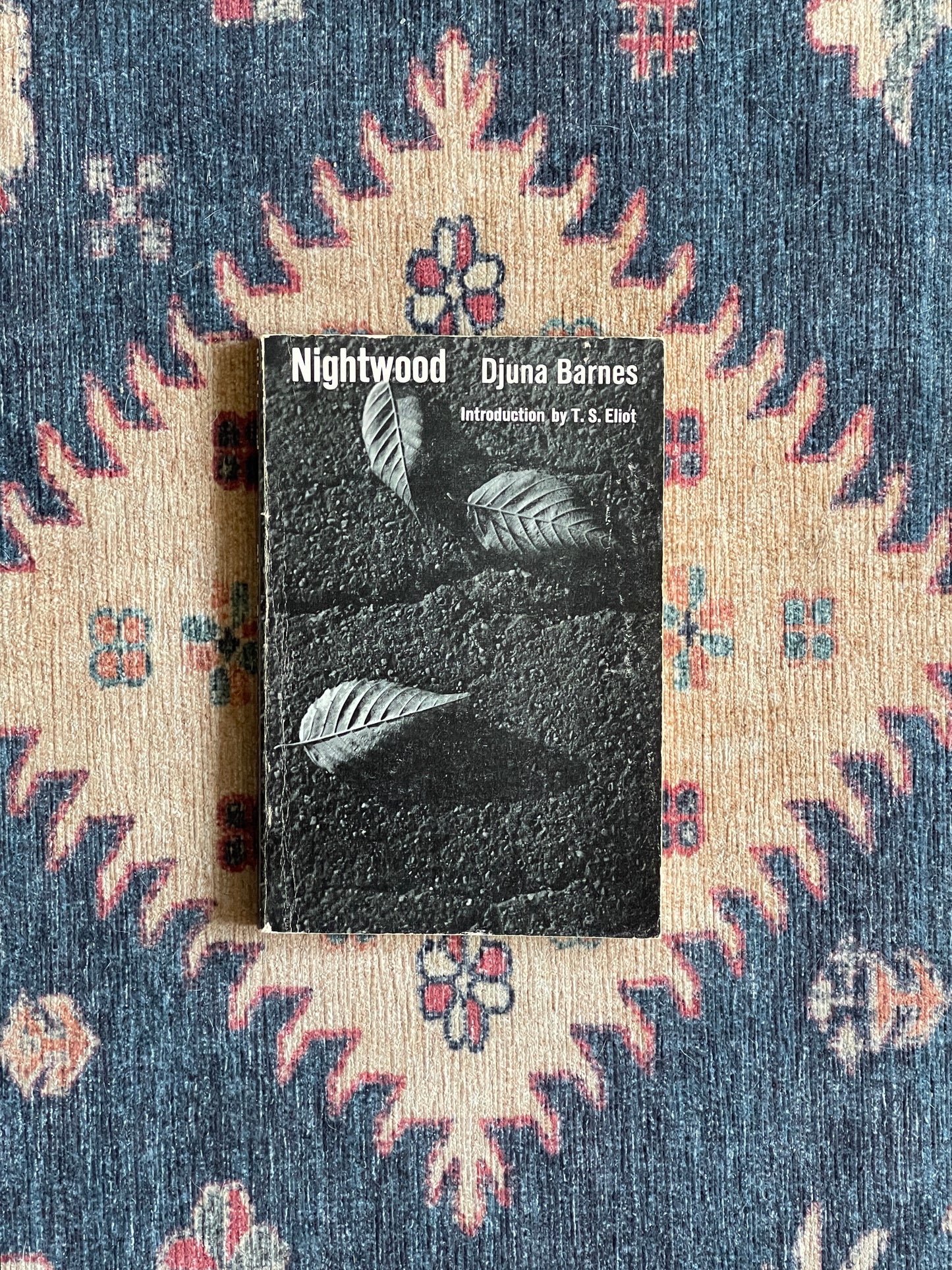 Nightwood by Djuna Barnes