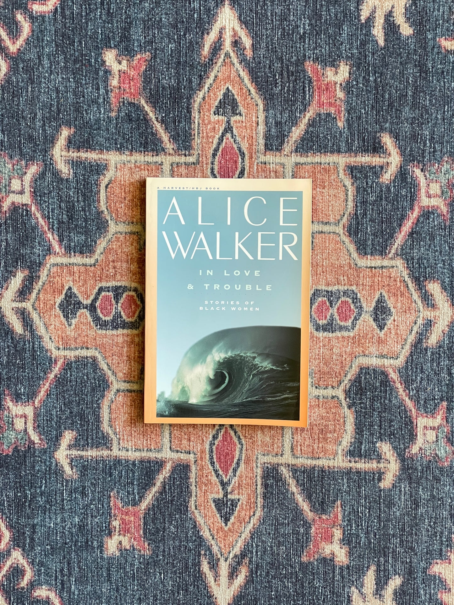 In Love and Trouble by Alice Walker