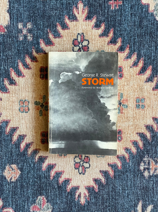 Storm by George R. Stewart