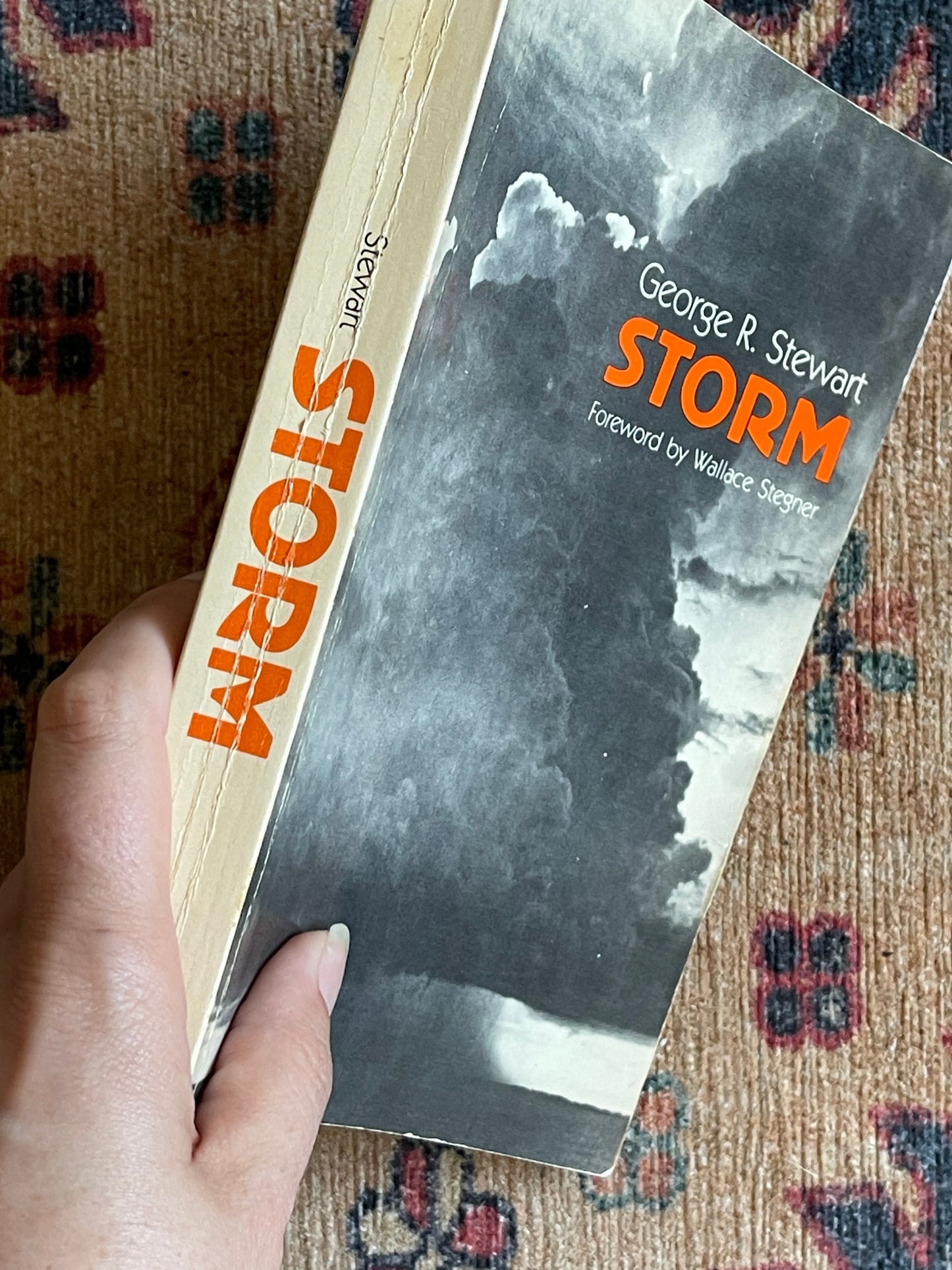 Storm by George R. Stewart