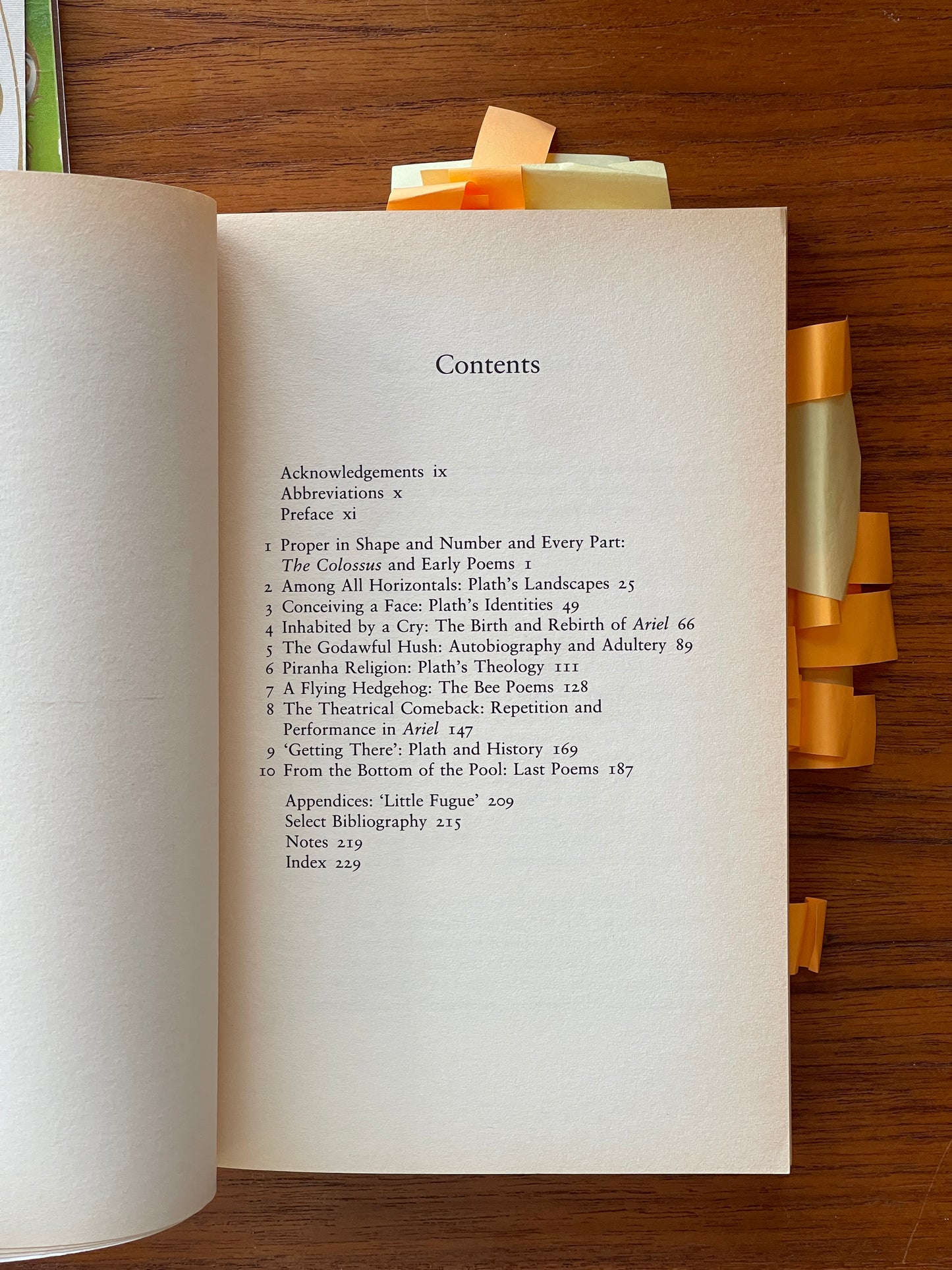 Sylvia Plath: A Critical Study by Tim Kendall