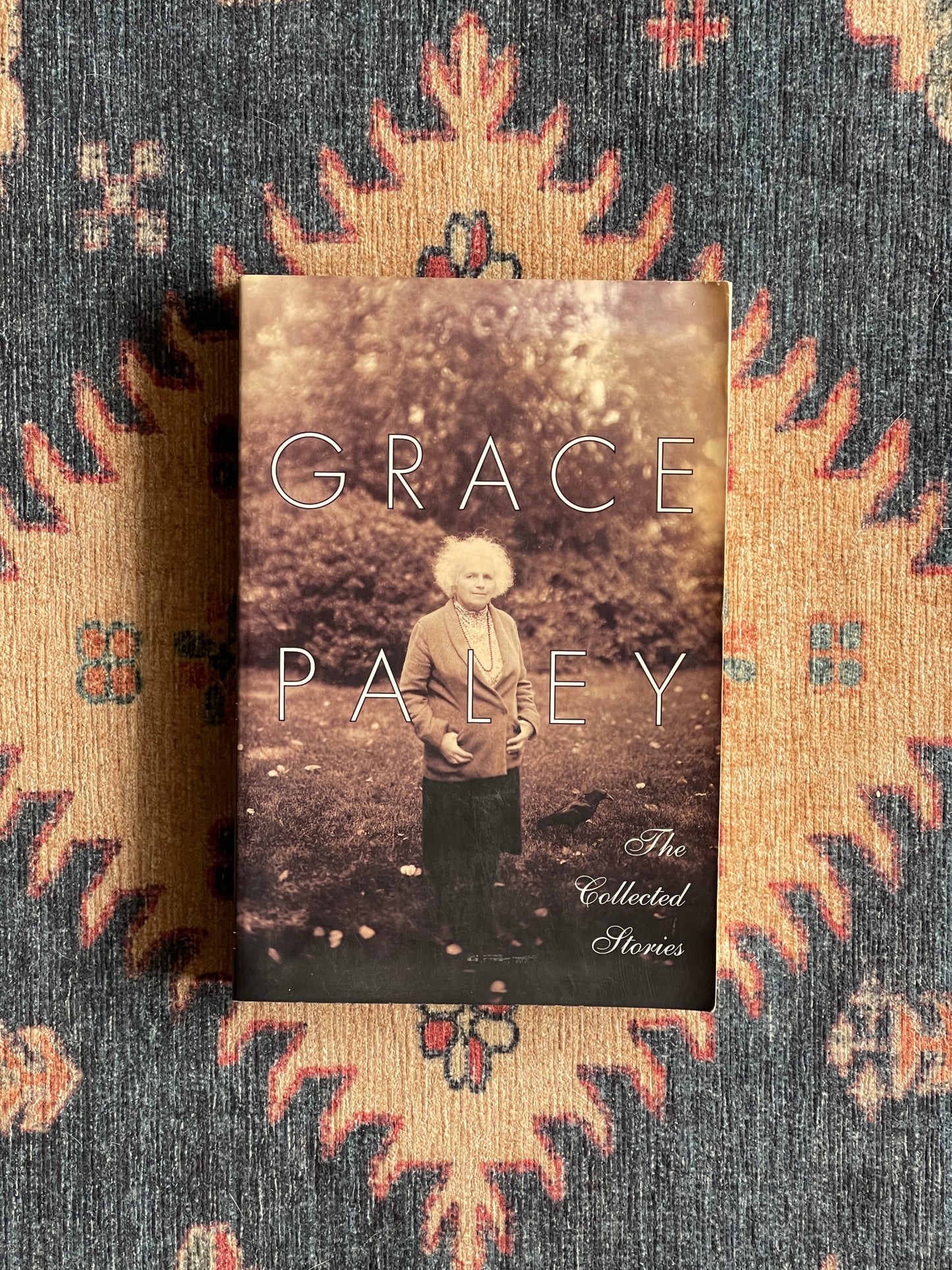 The Collected Stories of Grace Paley