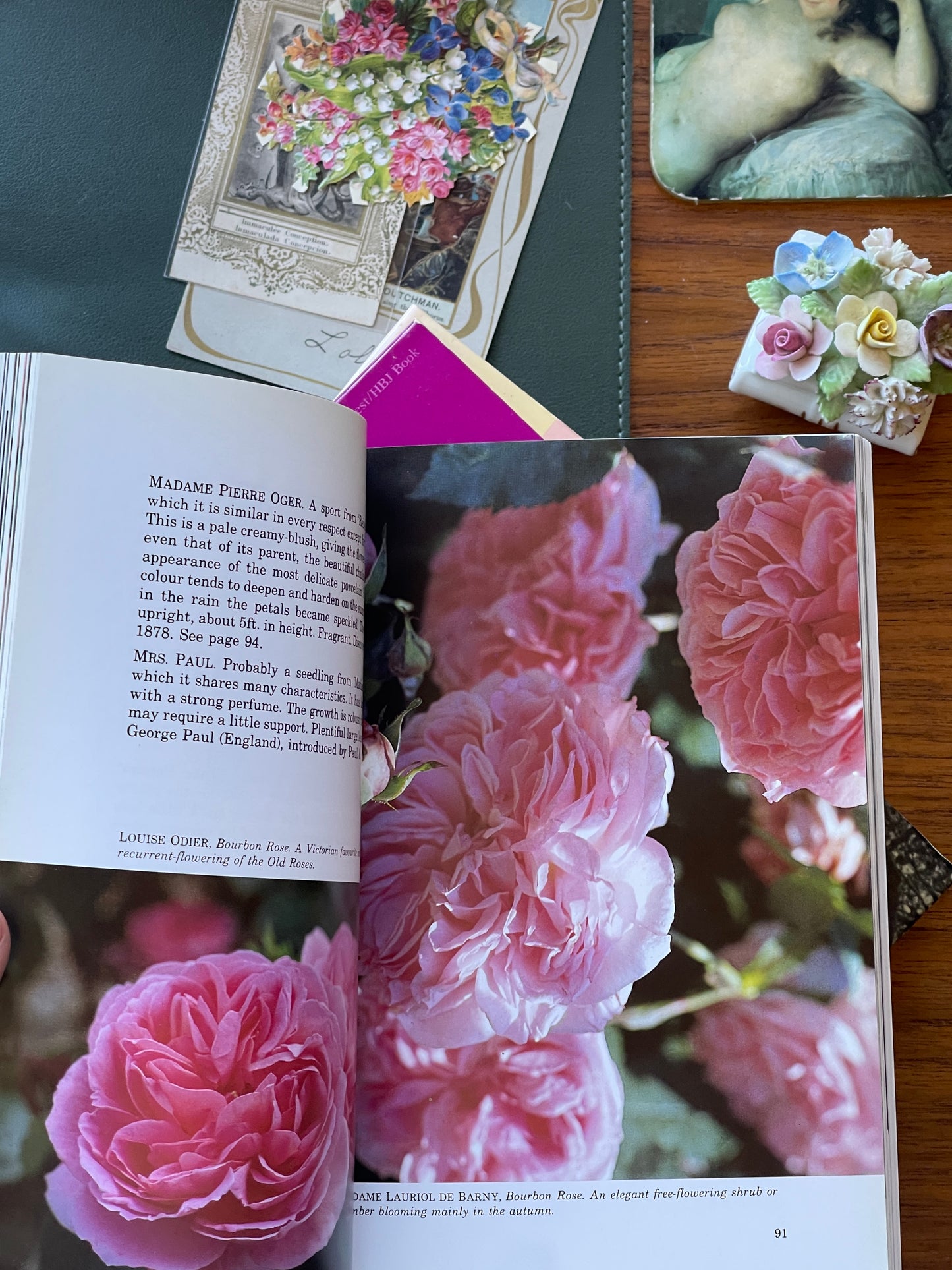 Old Roses and English Roses by David Austin