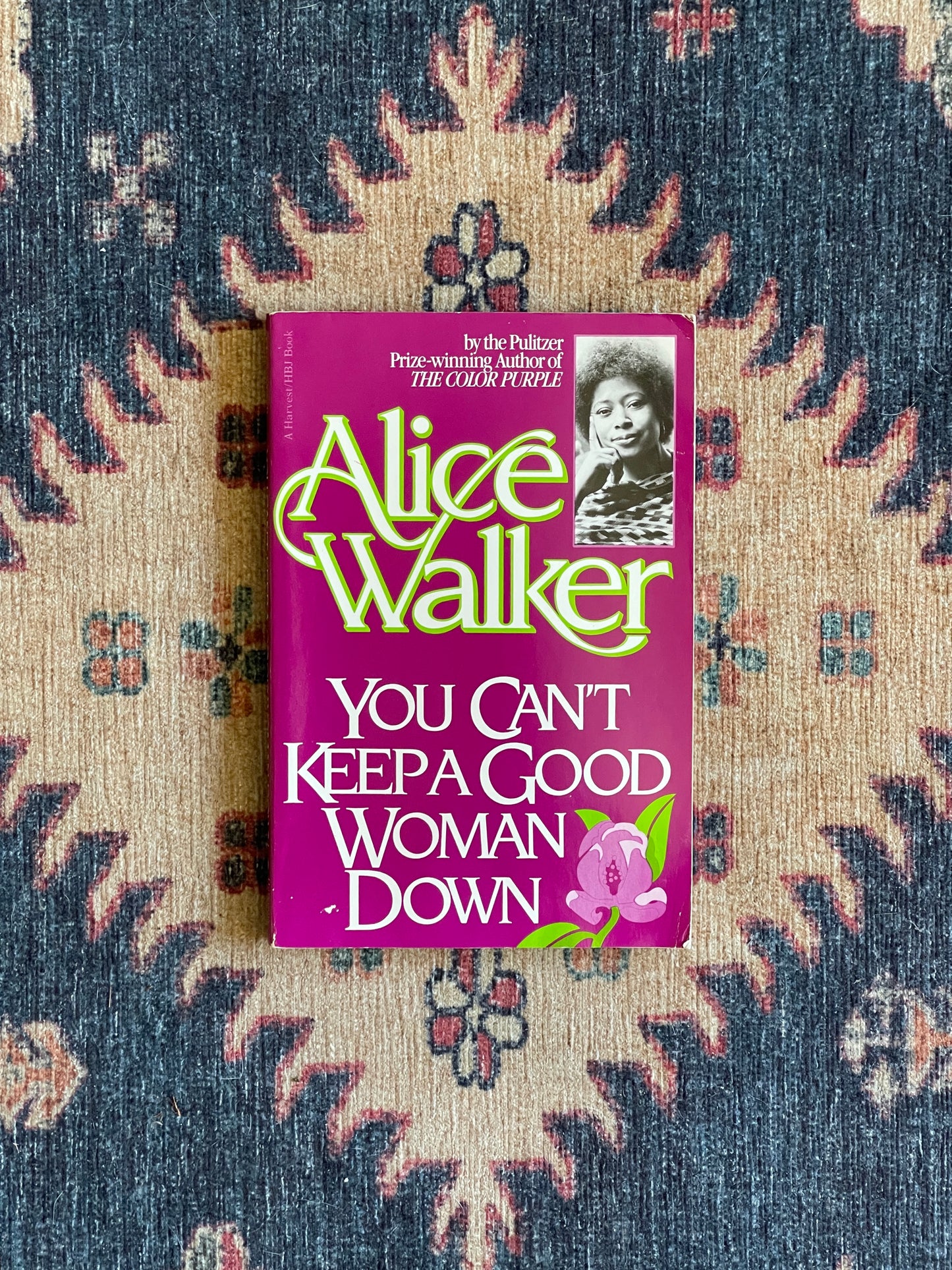You Can't Keep a Good Woman Down by Alice Walker