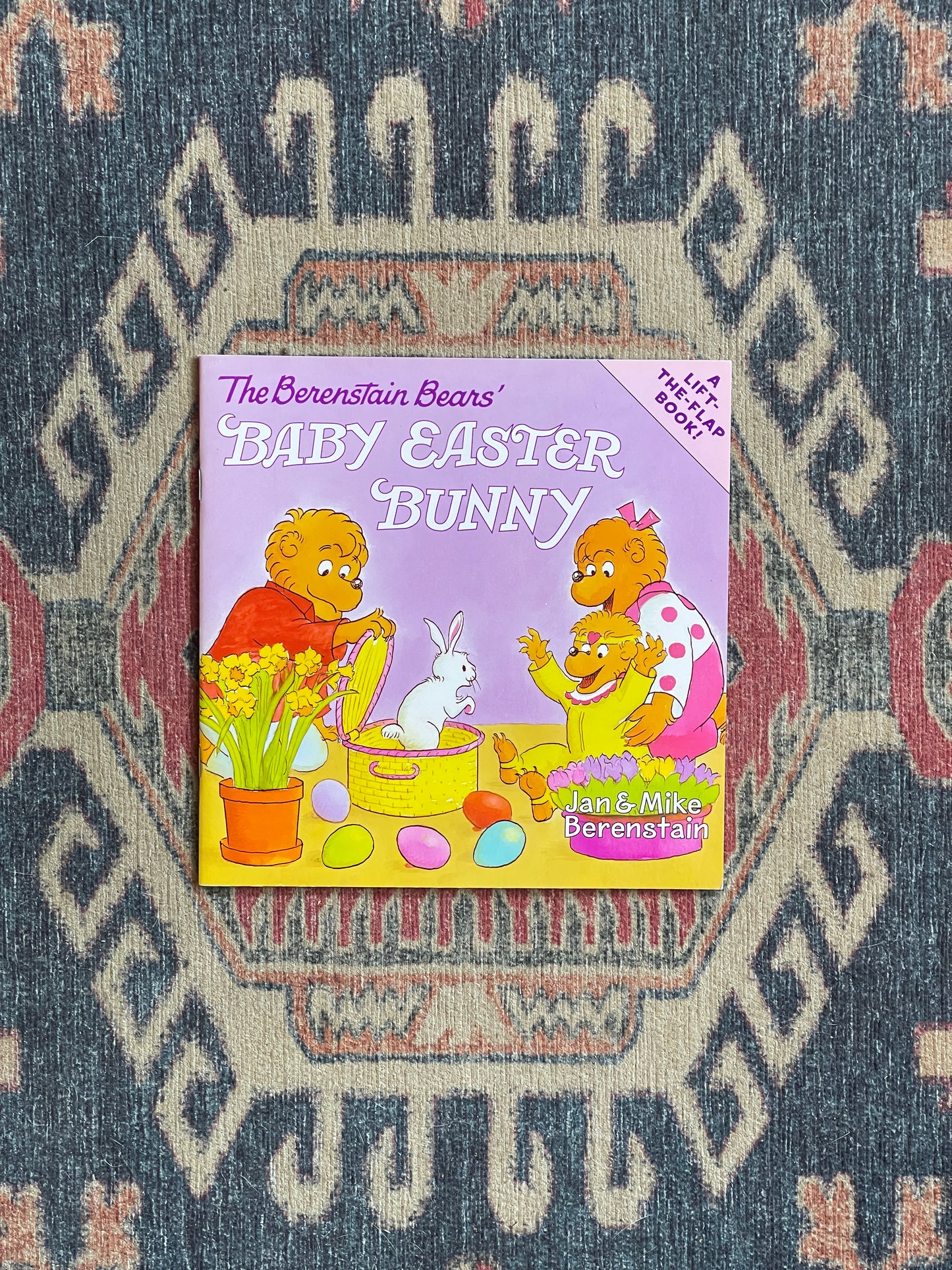 The Berenstein Bears' Baby Easter Bunny