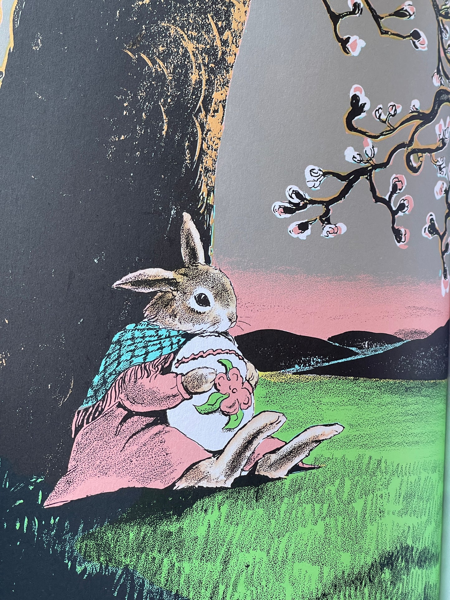 The Country Bunny and the Little Gold Shoes by Du Bose Heyward and Marjorie Hack