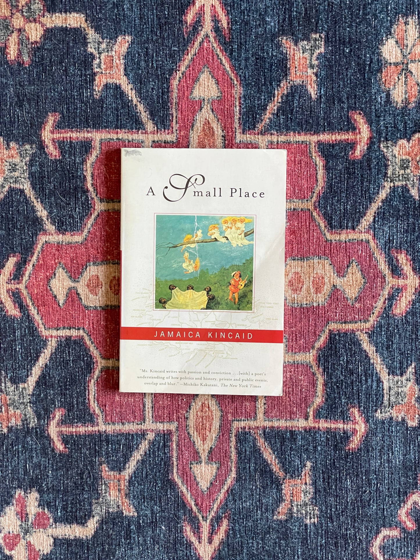 A Small Place by Jamaica Kincaid