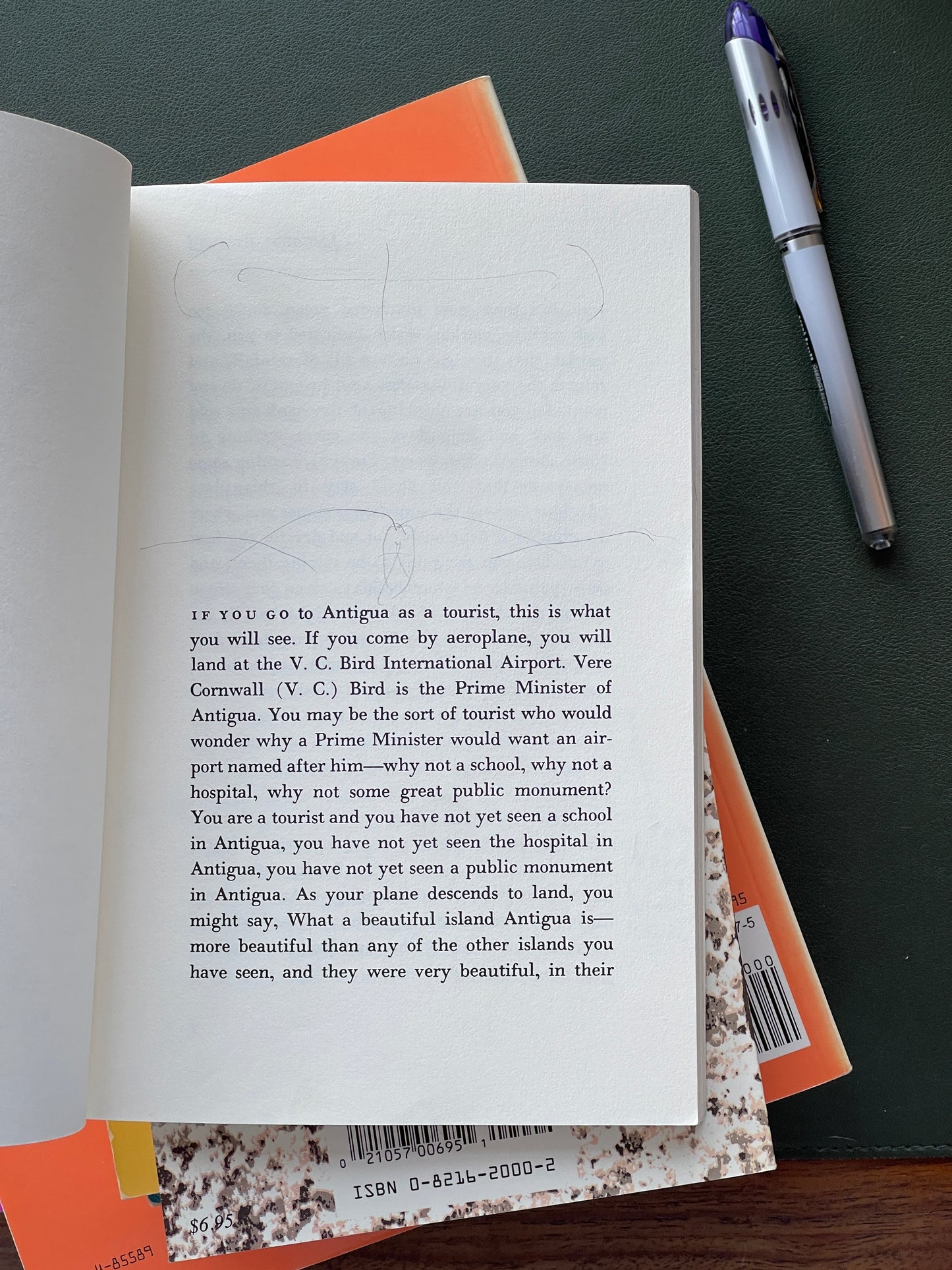 A Small Place by Jamaica Kincaid