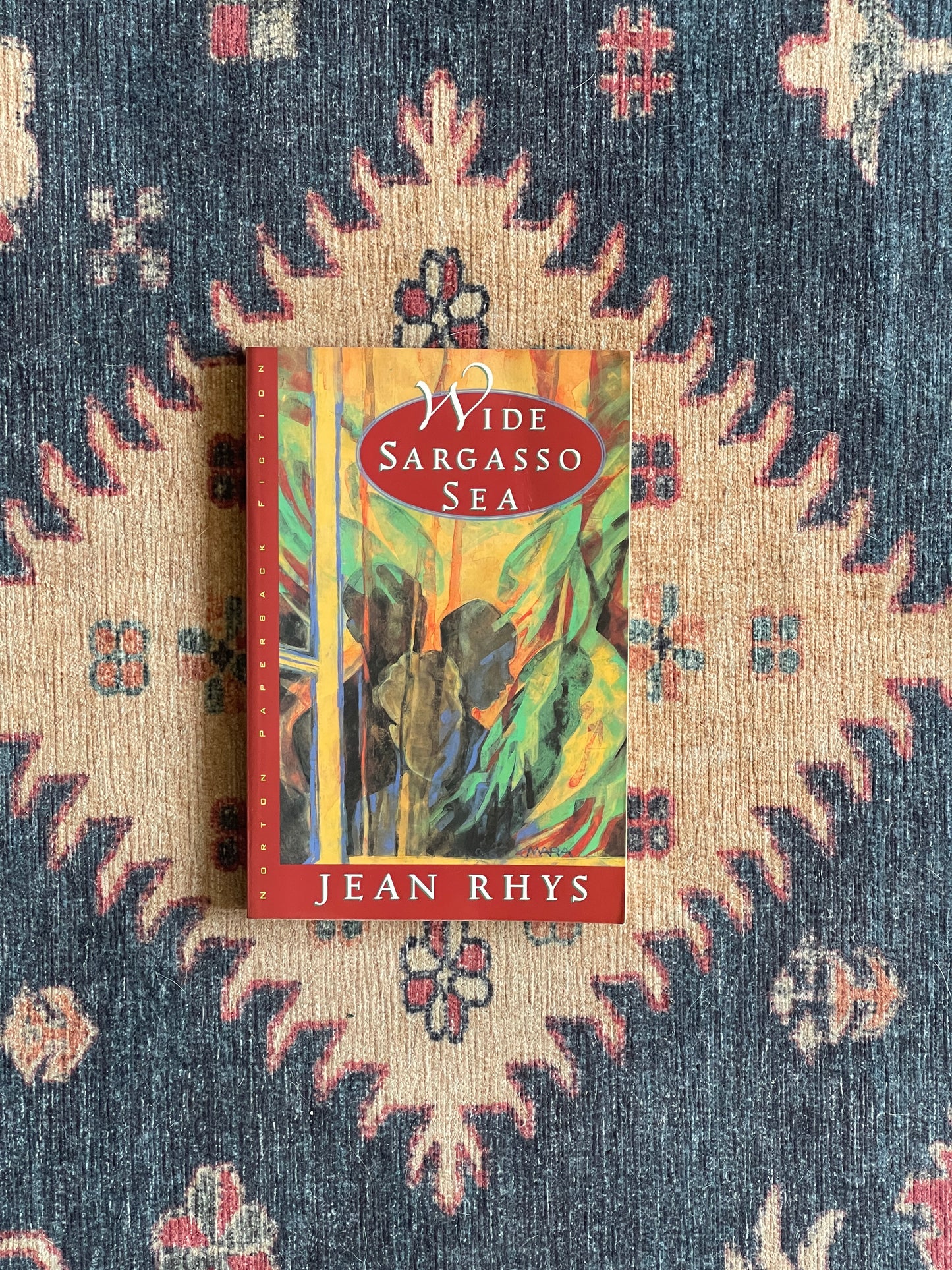 Wide Sargasso Sea by Jean Rhys