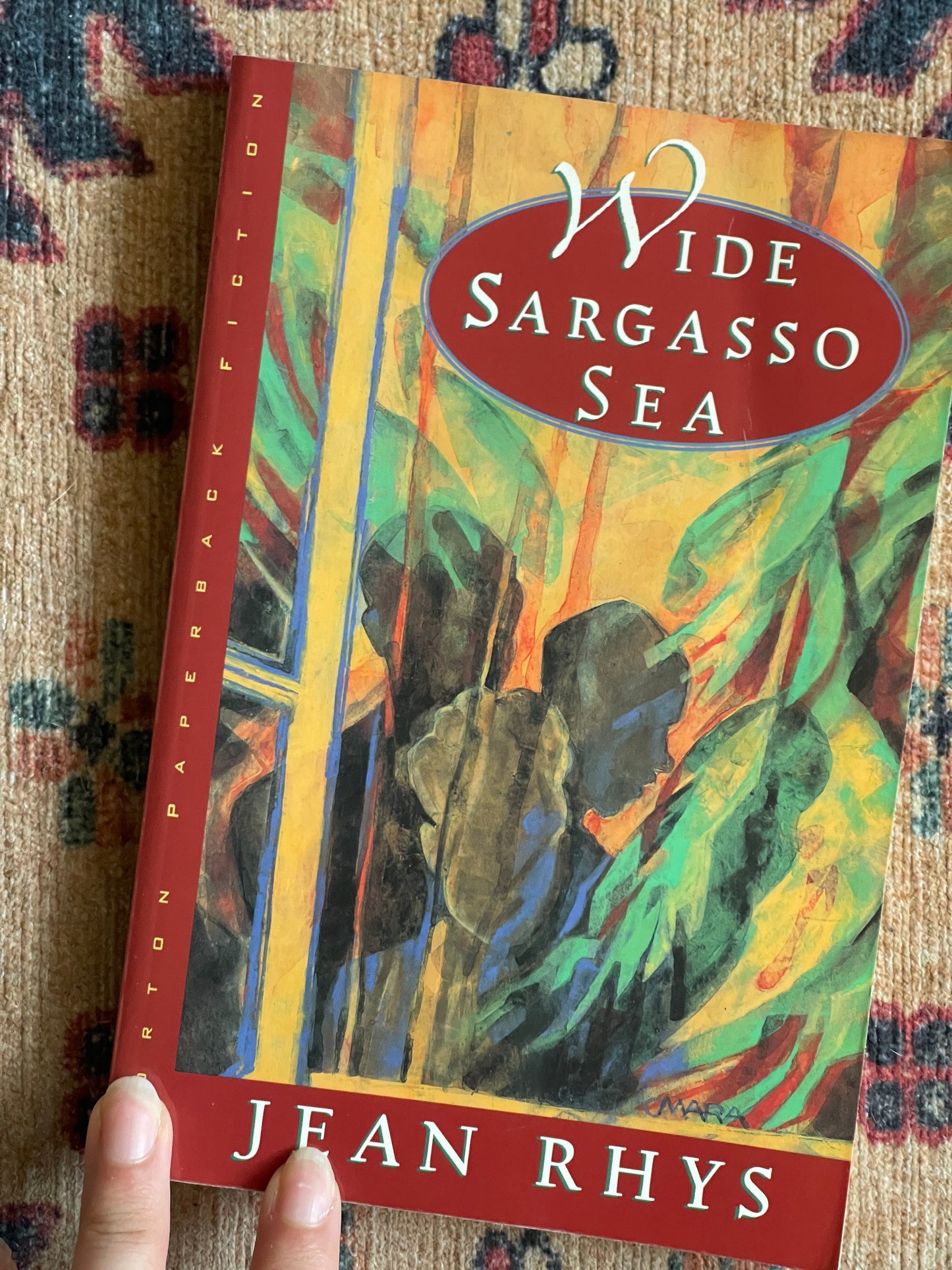 Wide Sargasso Sea by Jean Rhys
