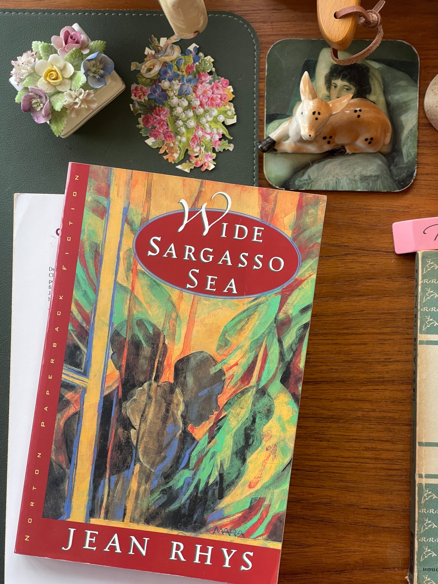 Wide Sargasso Sea by Jean Rhys