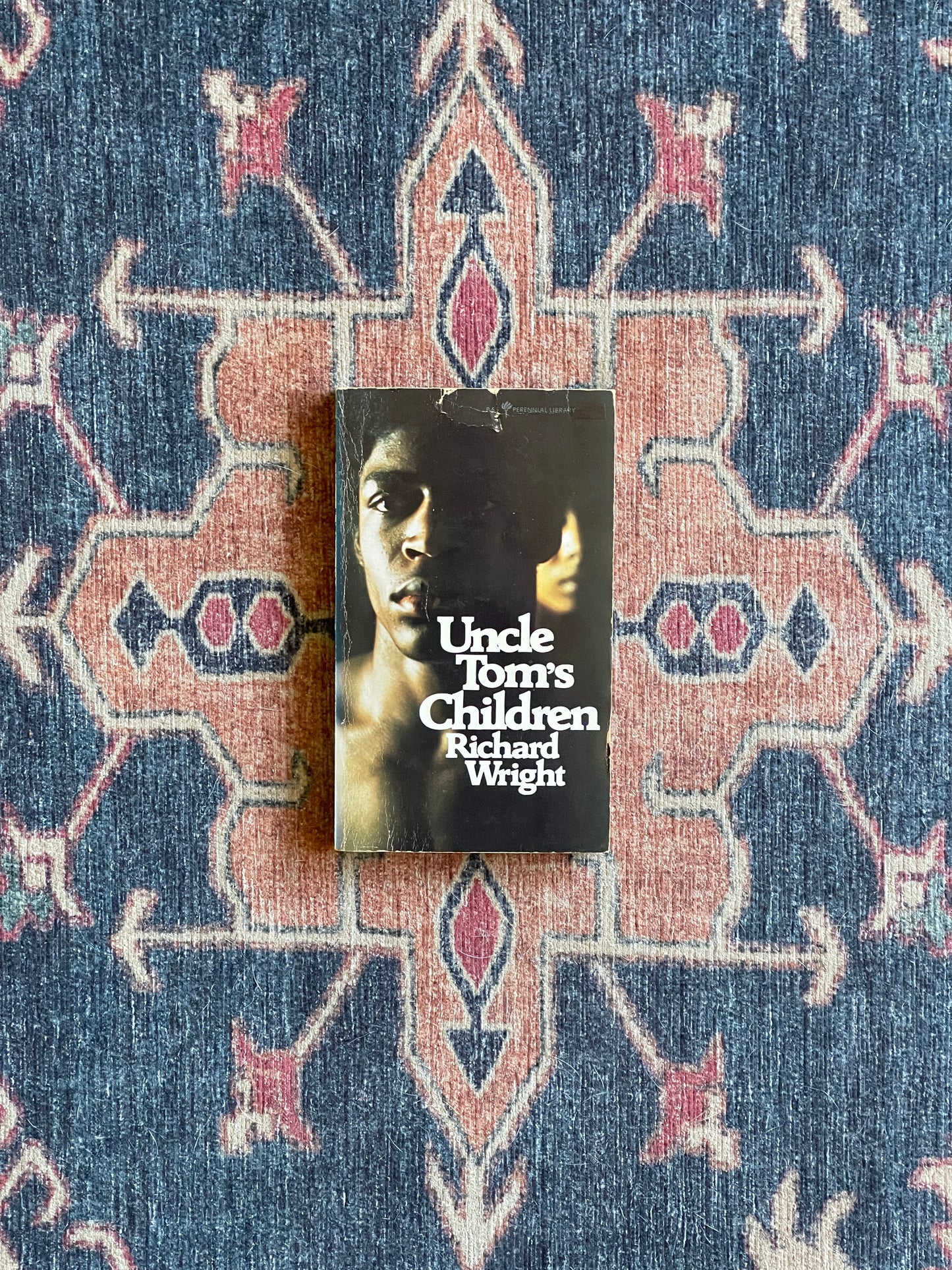 Uncle Tom's Children by Richard Wright