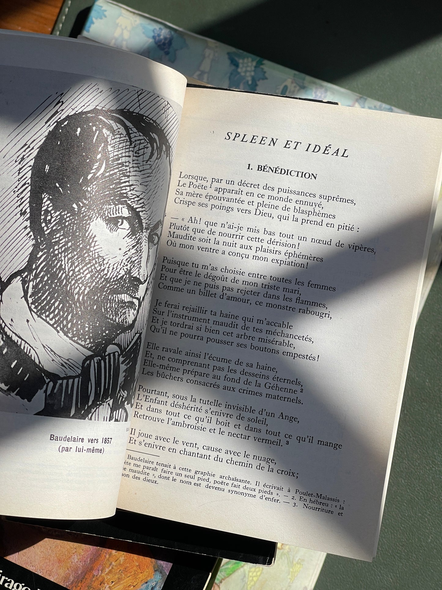 Les Fleurs du Mal by Baudelaire