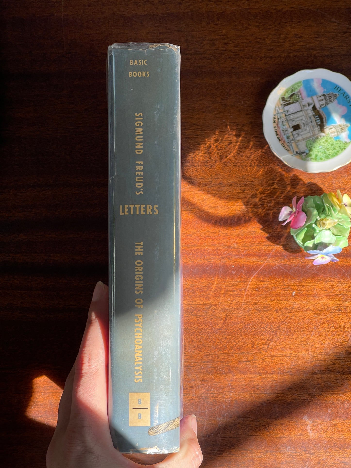 The Origins of Psychoanalysis: Sigmund Freud's Letters