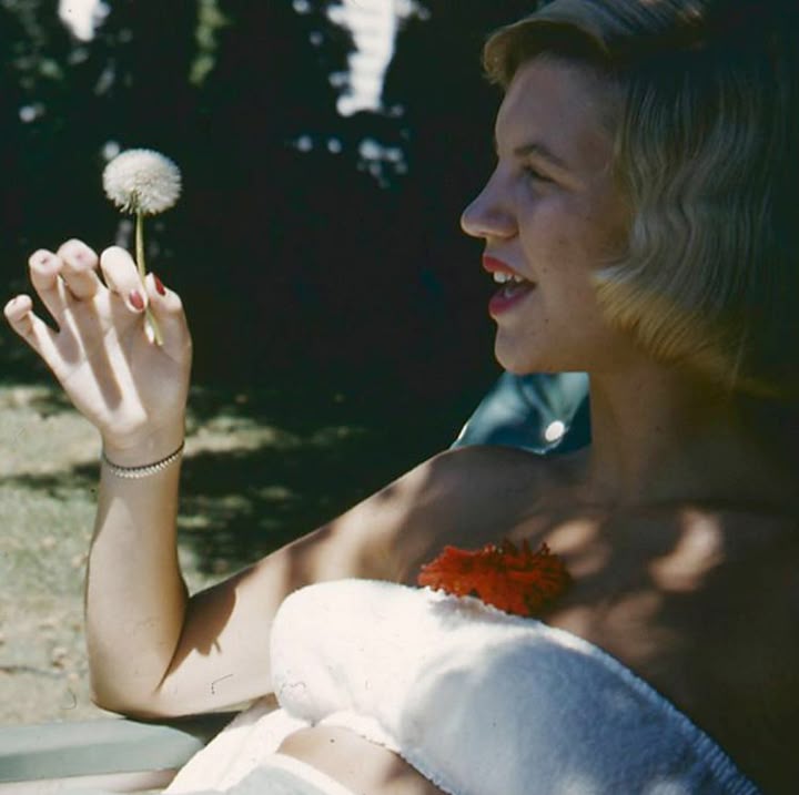Pursuit: In Celebration of Sylvia Plath by de kloka - 15 ml atomizer
